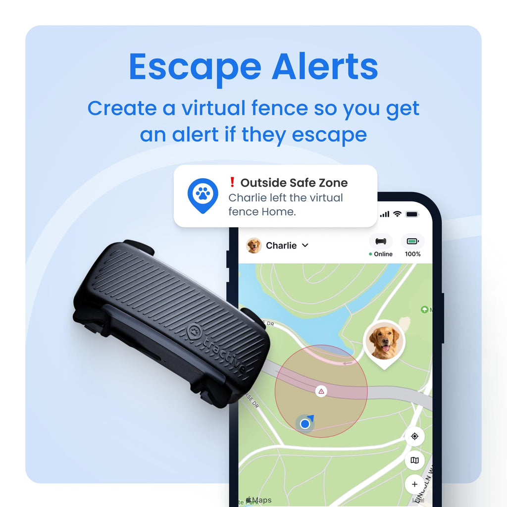 Smart Dog GPS Tracker