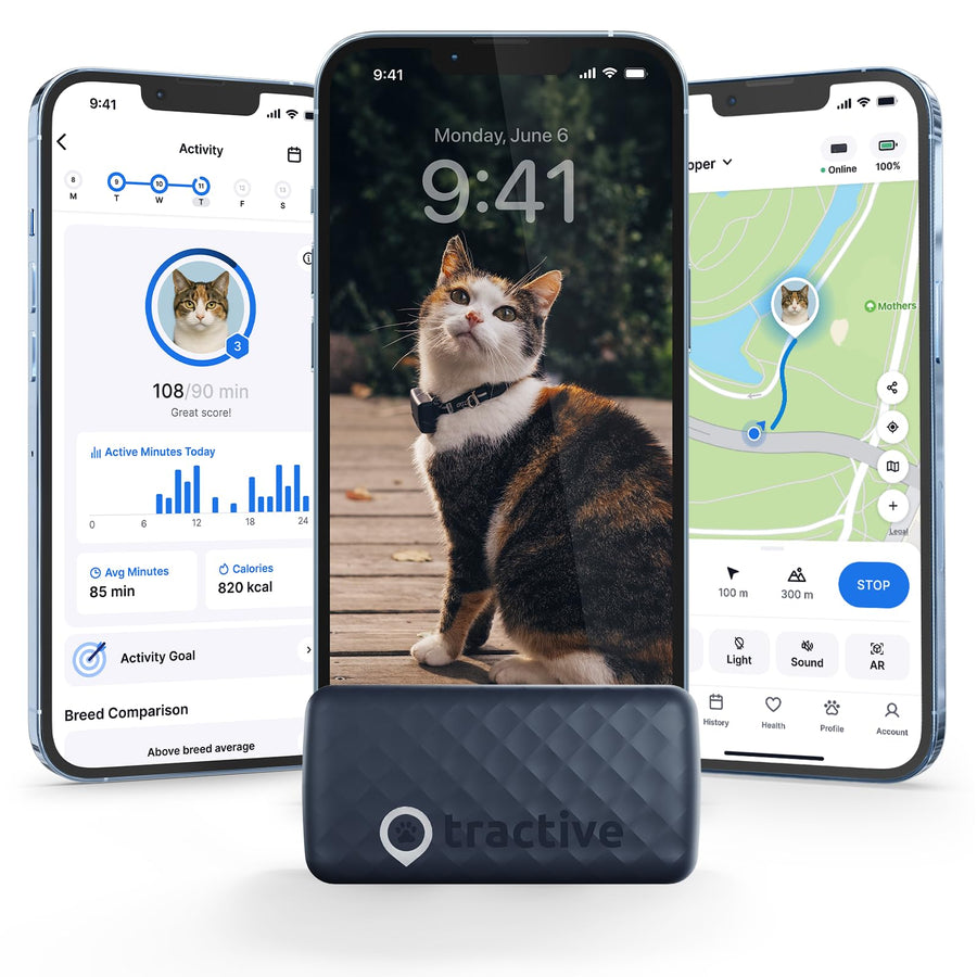 Smart GPS Cat Tracker