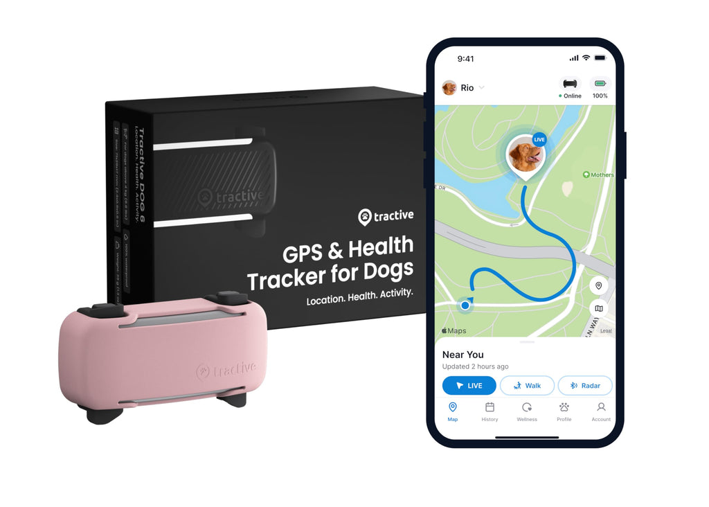 Tractive GPS Dog Tracker