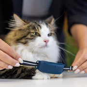 GPS Cat Collar Attachment