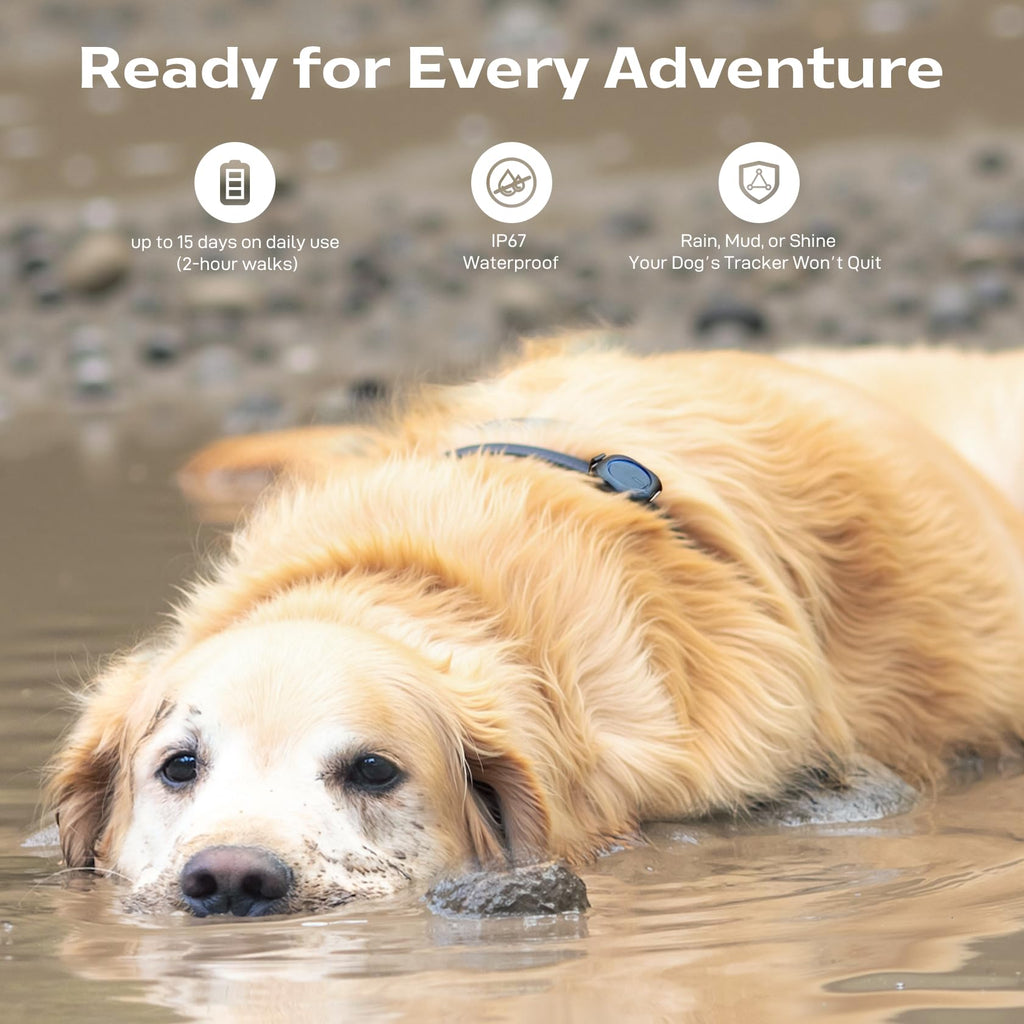 Outdoor GPS Dog Tracker