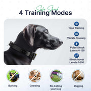 Remote Dog Training Collar
