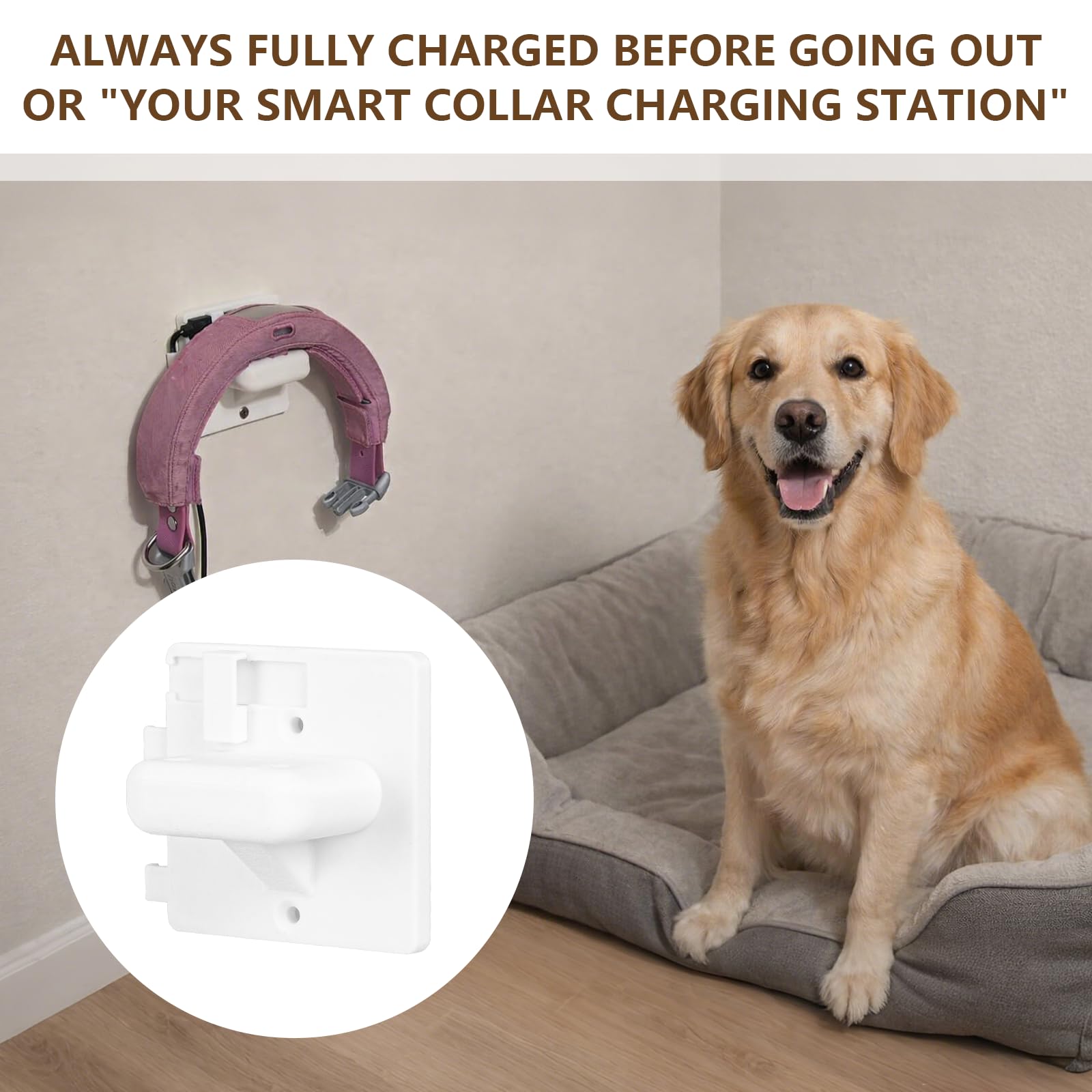 Dog Collar Charging Dock