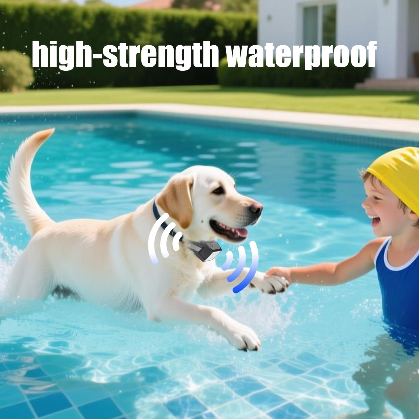 Wireless Dog Fence System