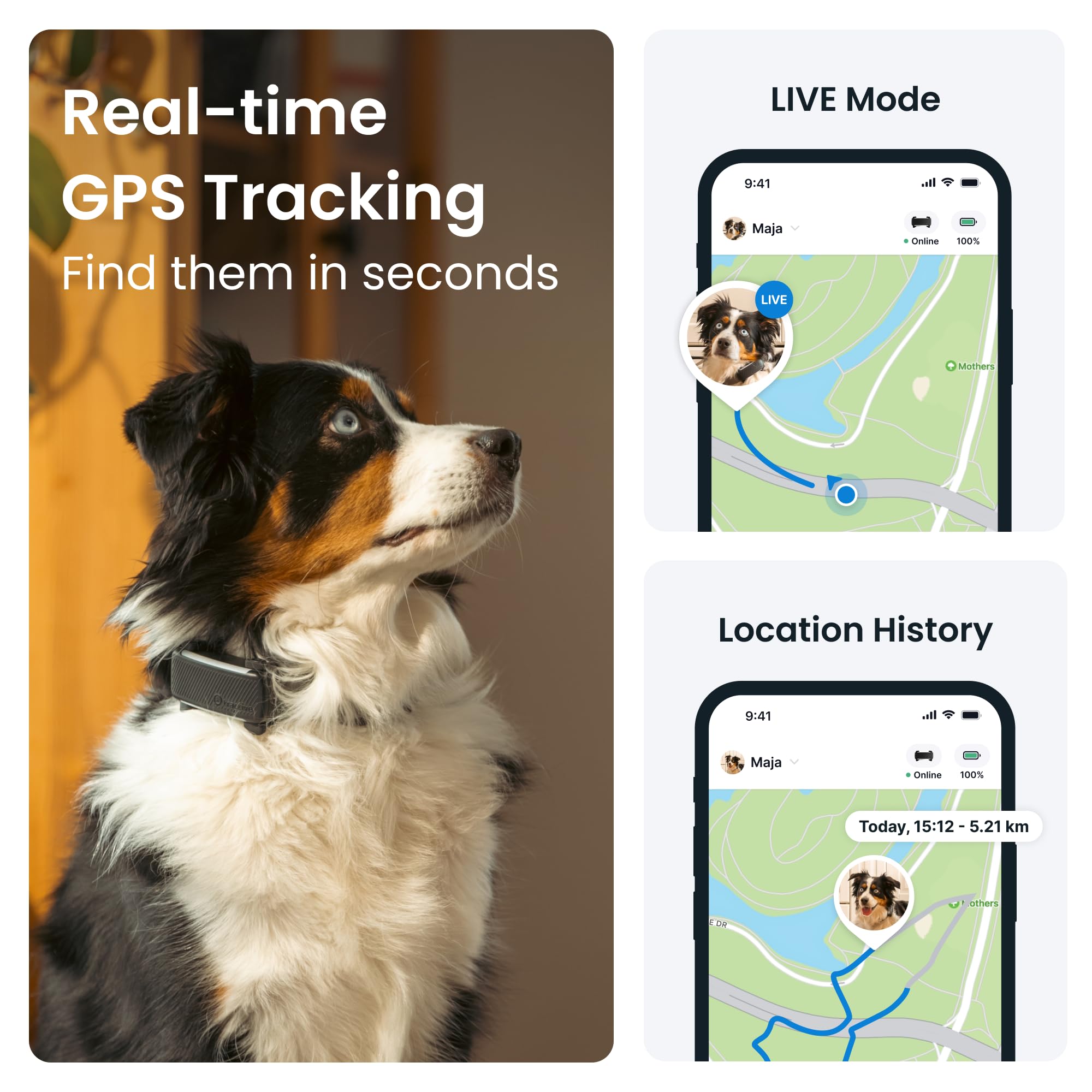 Tractive GPS Dog Tracker