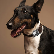 Waterproof AirTag Collar Holder