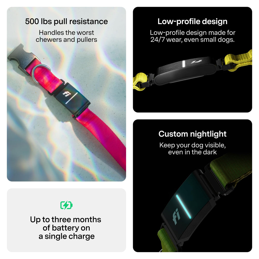 Smart GPS Dog Tracker Collar