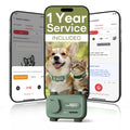 AI Pet Smartphone