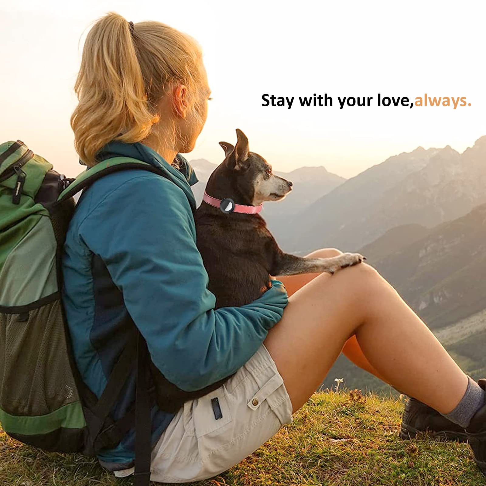 AirTag Pet Collar Holder