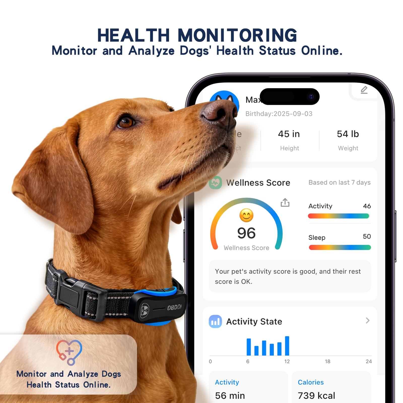 AI GPS Dog Tracker