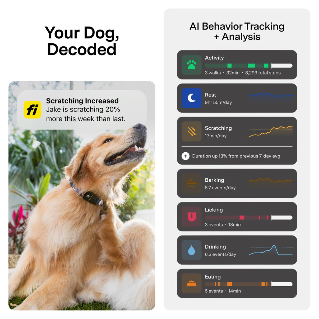 Smart GPS Dog Tracker Collar