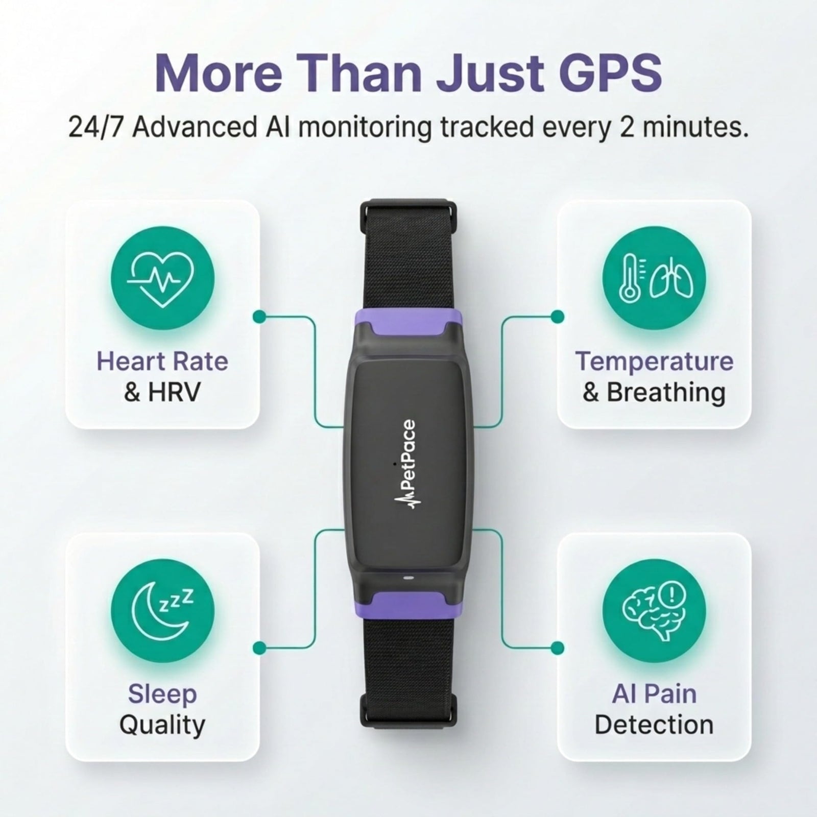 AI Smart Dog Health Collar