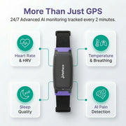 AI Smart Dog Health Collar
