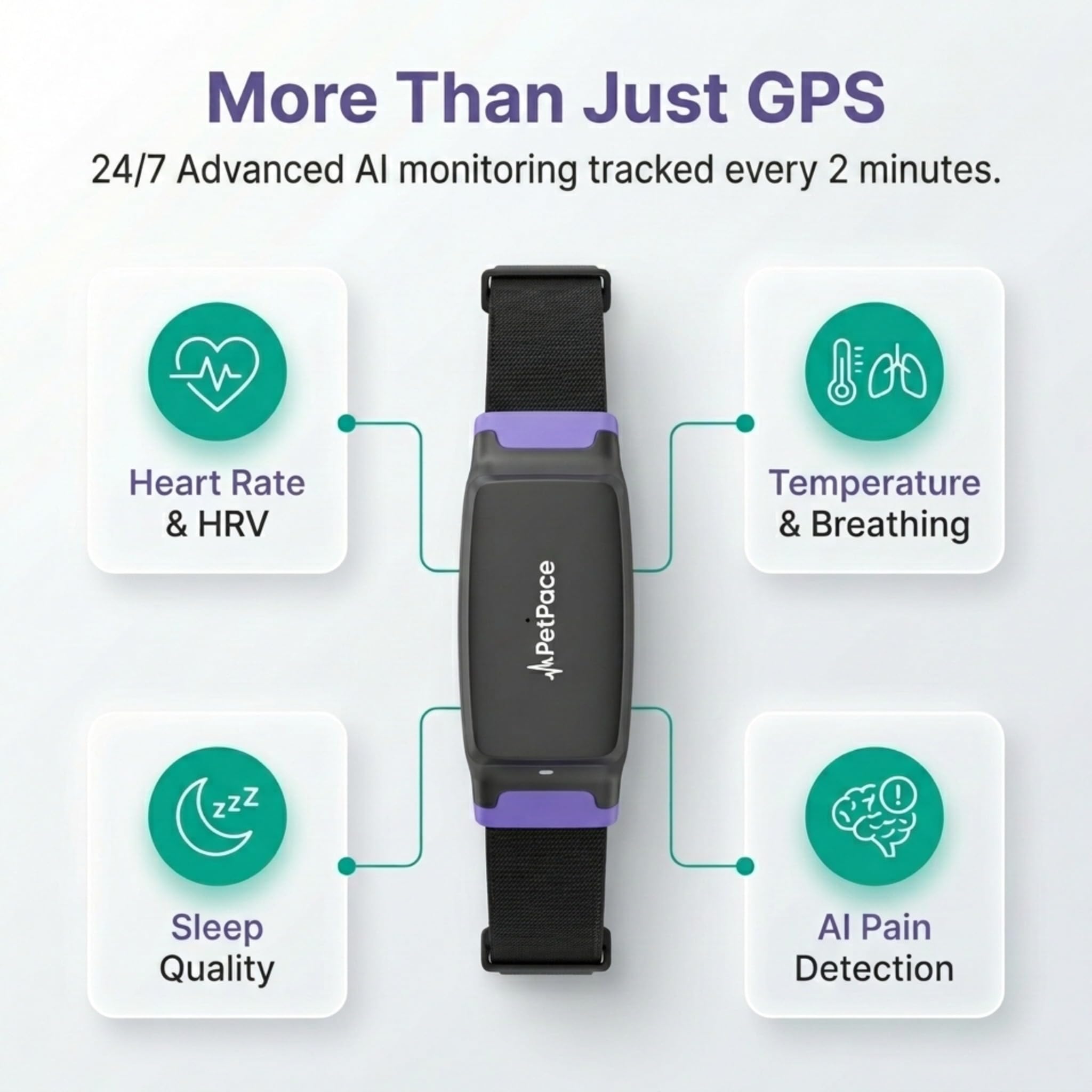 AI Smart Dog Health Collar