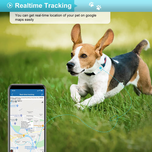 4G GPS Pet Tracker Collar