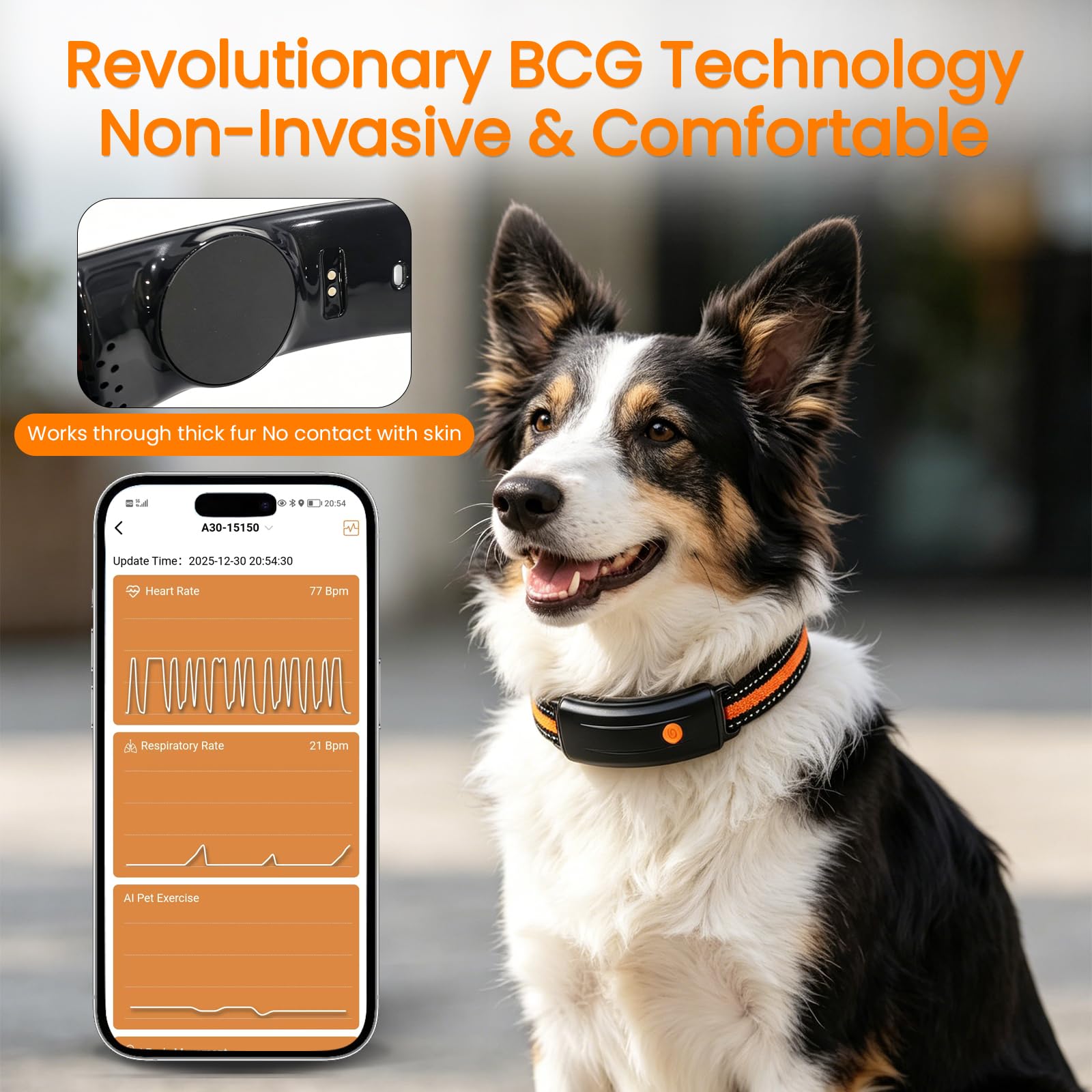 Smart Dog Health Collar