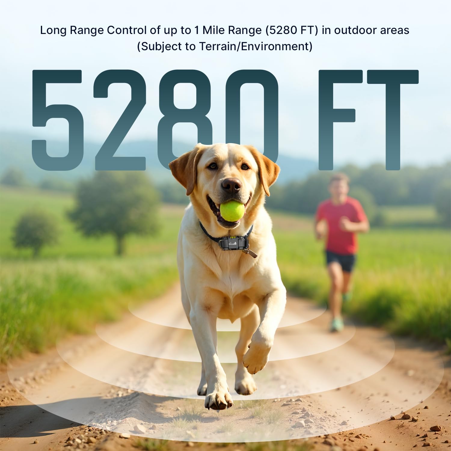 Remote Dog Training Collar
