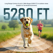 Remote Dog Training Collar