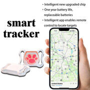Real-Time Cat Tracker