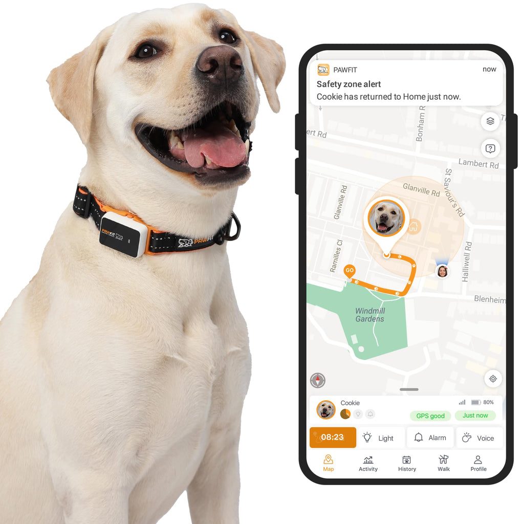 4G GPS Dog Tracker