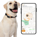 4G GPS Dog Tracker