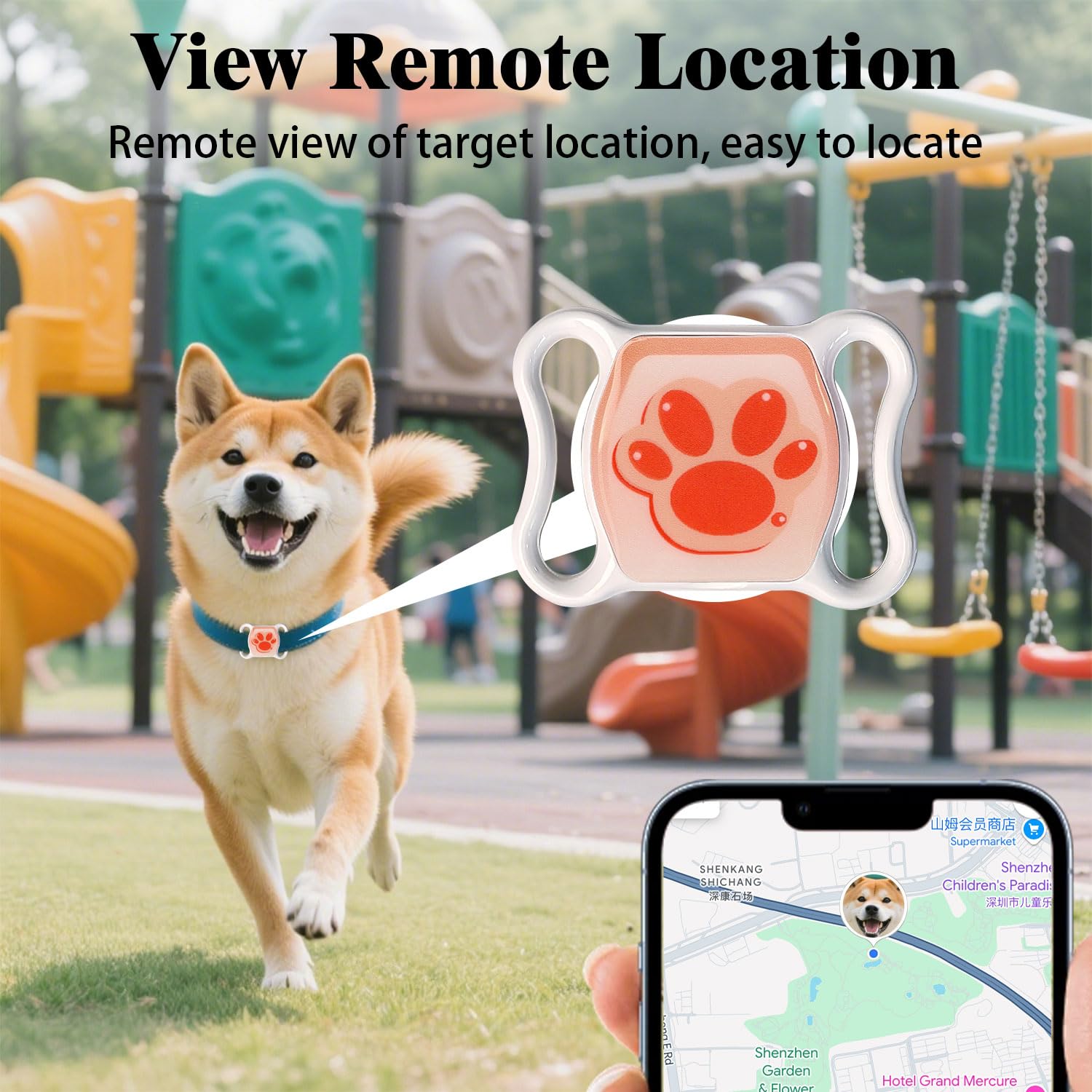 Real-Time Cat Tracker