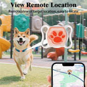 Real-Time Cat Tracker