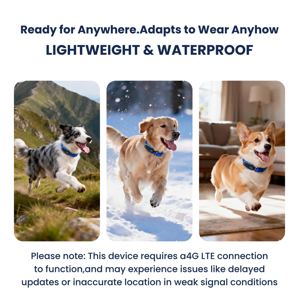 AI GPS Dog Tracker