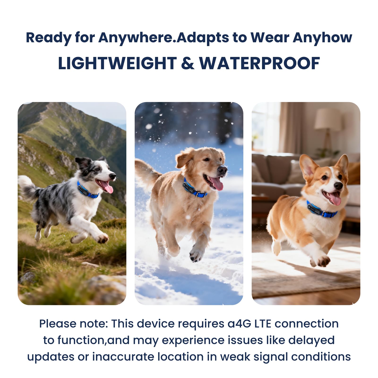 AI GPS Dog Tracker