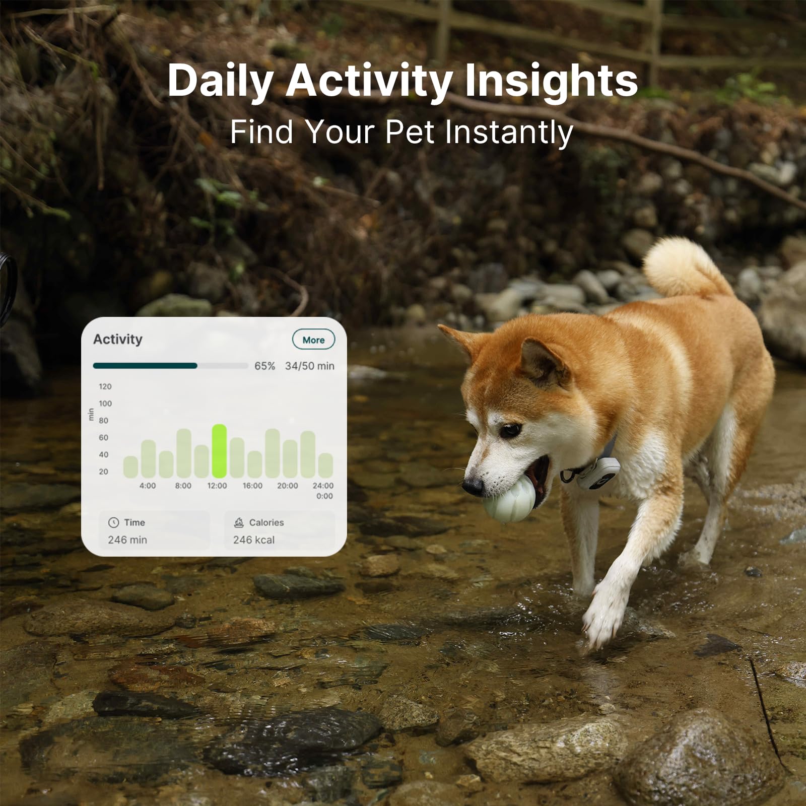 Smart GPS Dog Tracker