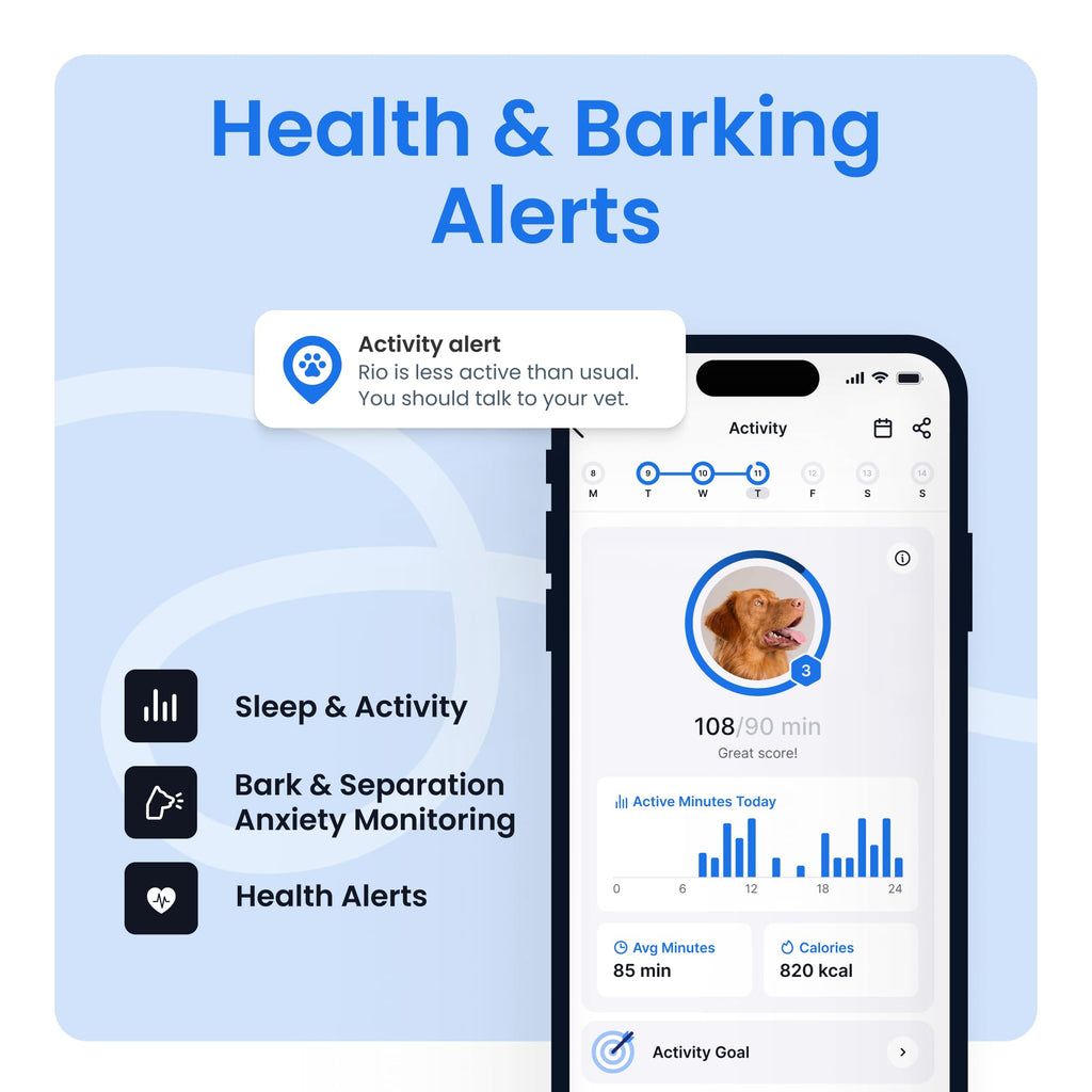 Smart Dog GPS Tracker