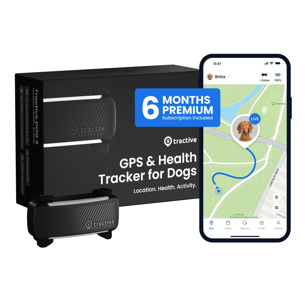 Smart Dog GPS Tracker