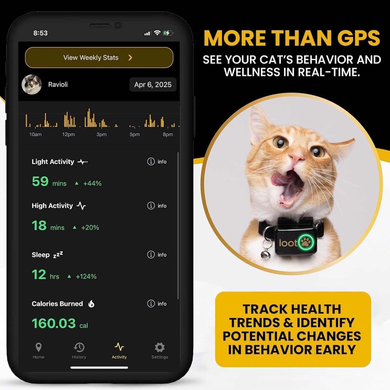 Smart GPS Cat Tracker Collar