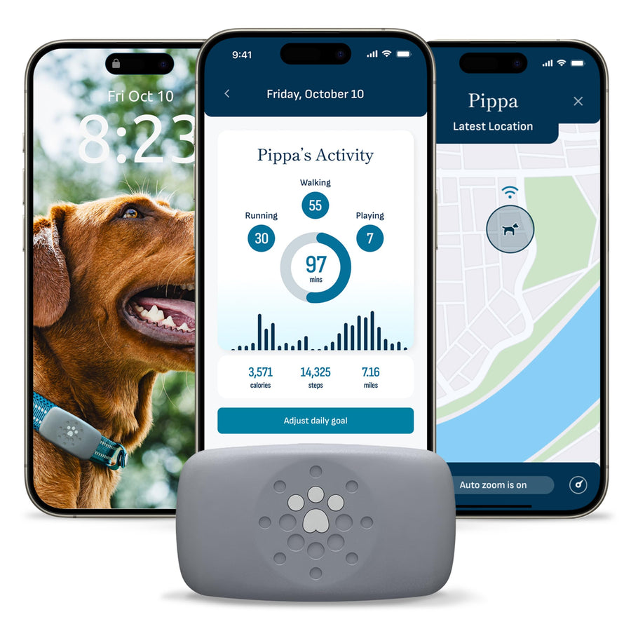 Waterproof GPS Dog Tracker