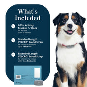 Waterproof GPS Dog Tracker