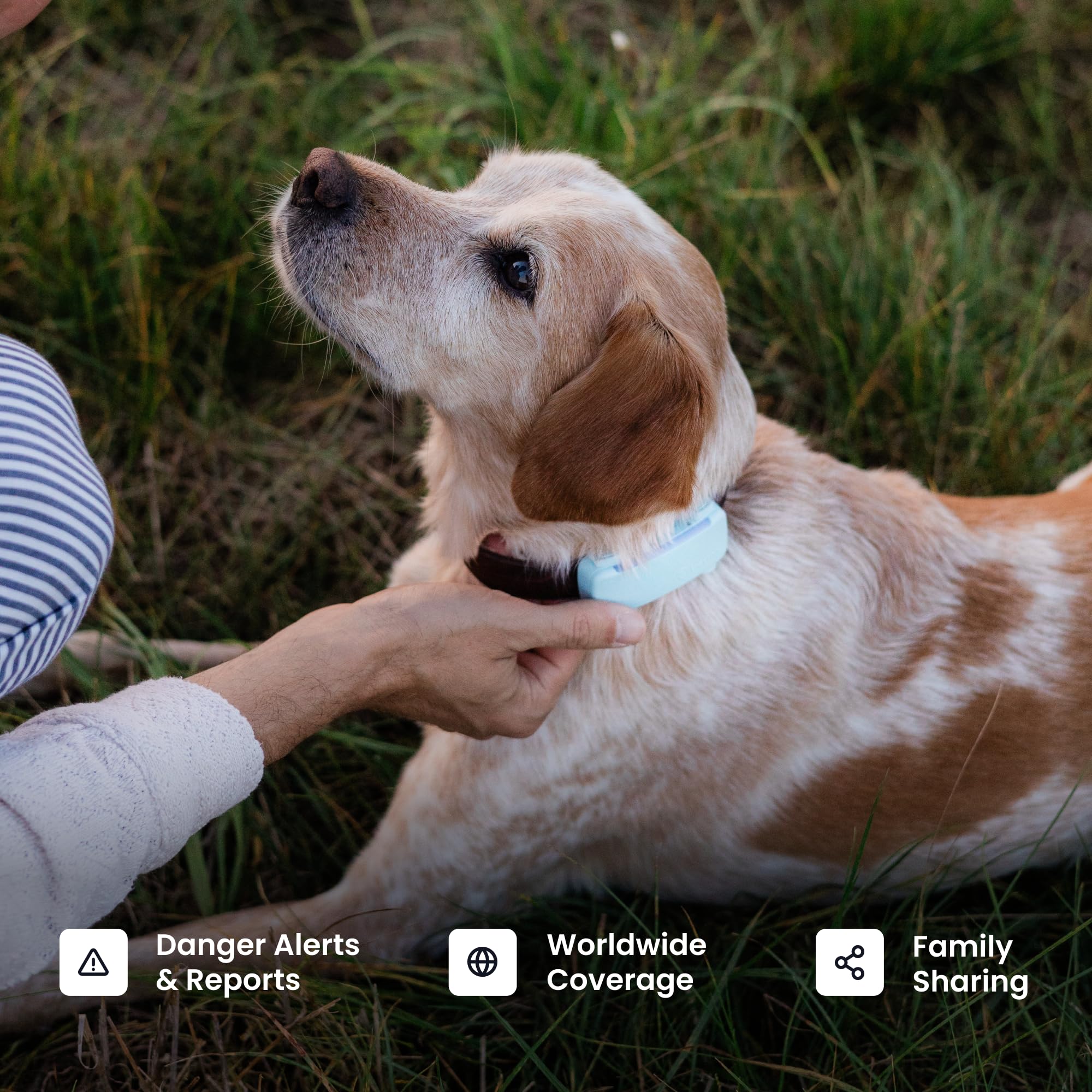 Smart Dog GPS Tracker