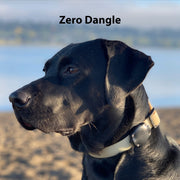 Waterproof AirTag Dog Collar Mount