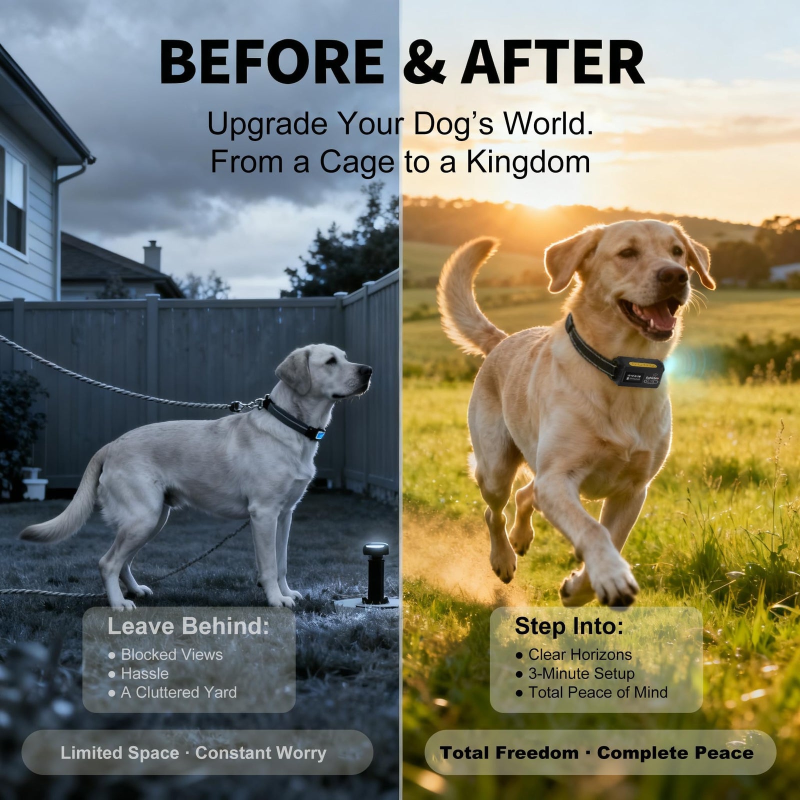 Wireless GPS Dog Fence Collar