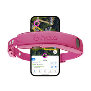 Wireless GPS Dog Fence Collar