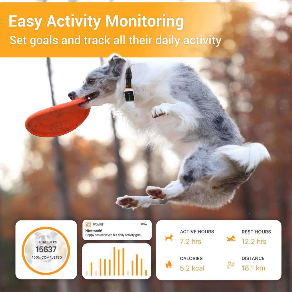 4G GPS Dog Tracker