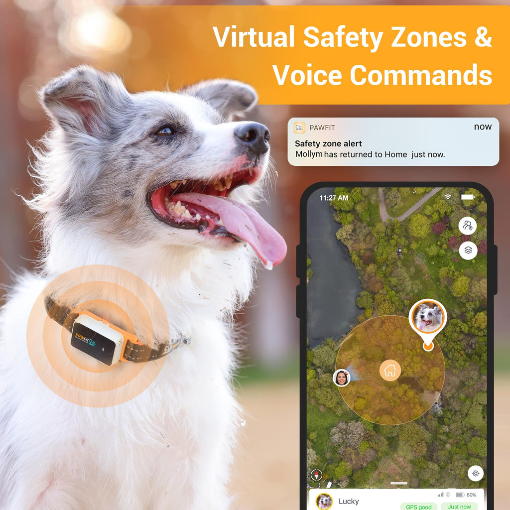 4G GPS Dog Tracker