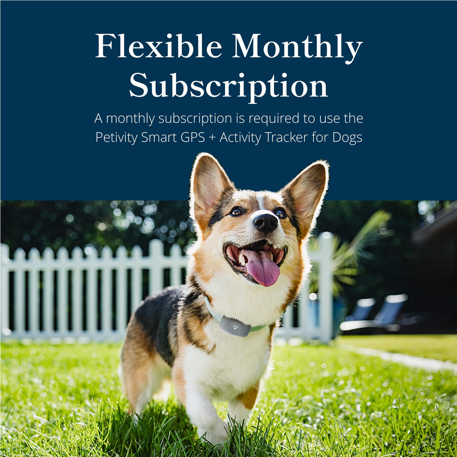 Waterproof GPS Dog Tracker