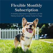 Waterproof GPS Dog Tracker
