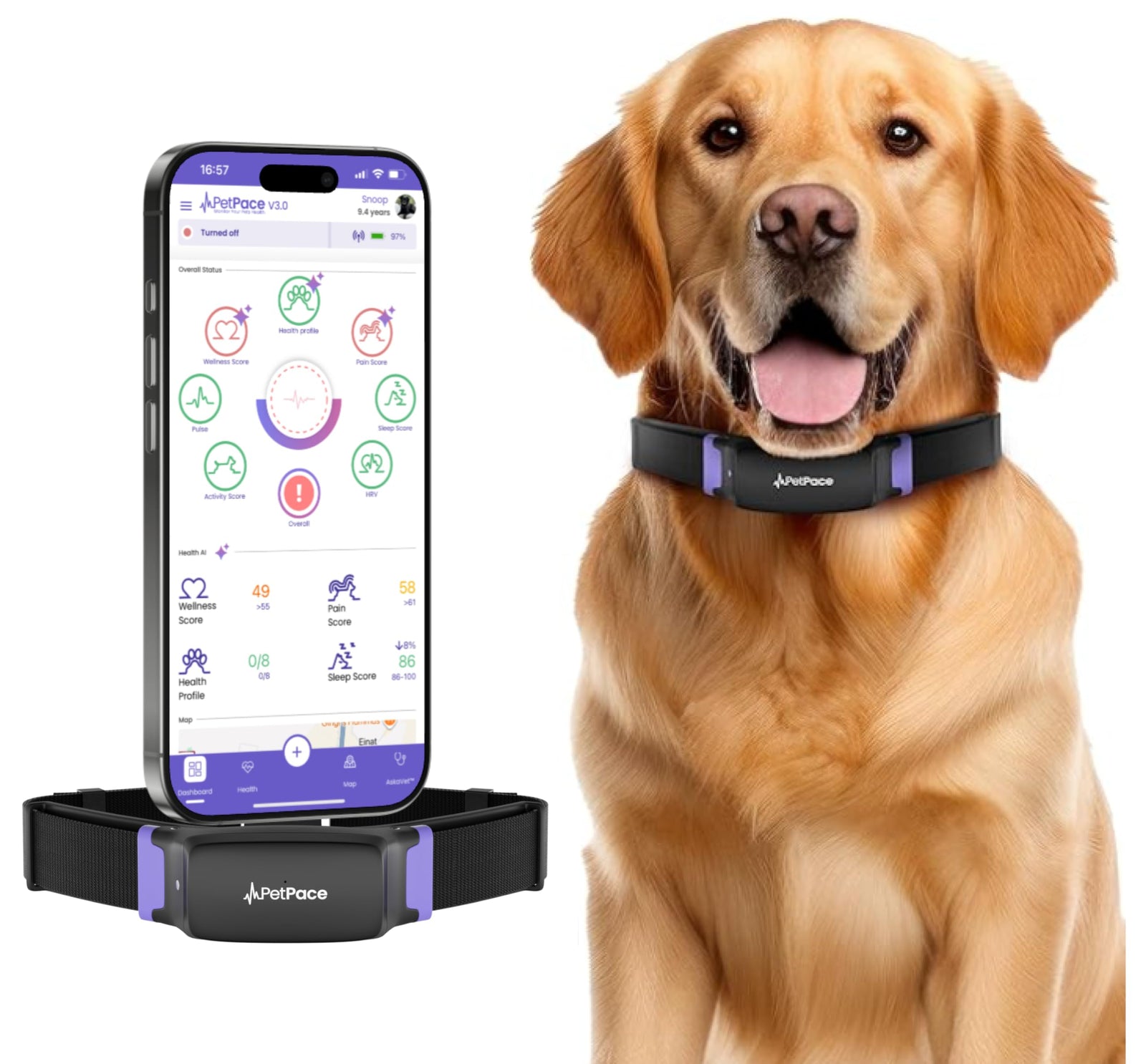 AI Smart Dog Health Collar