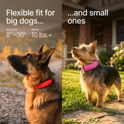 Wireless GPS Dog Fence Collar