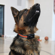 GPS Tracker Collar Clips