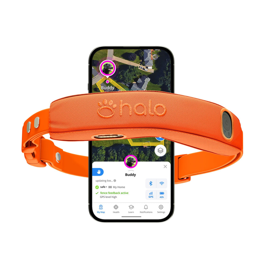 Wireless GPS Dog Fence Collar