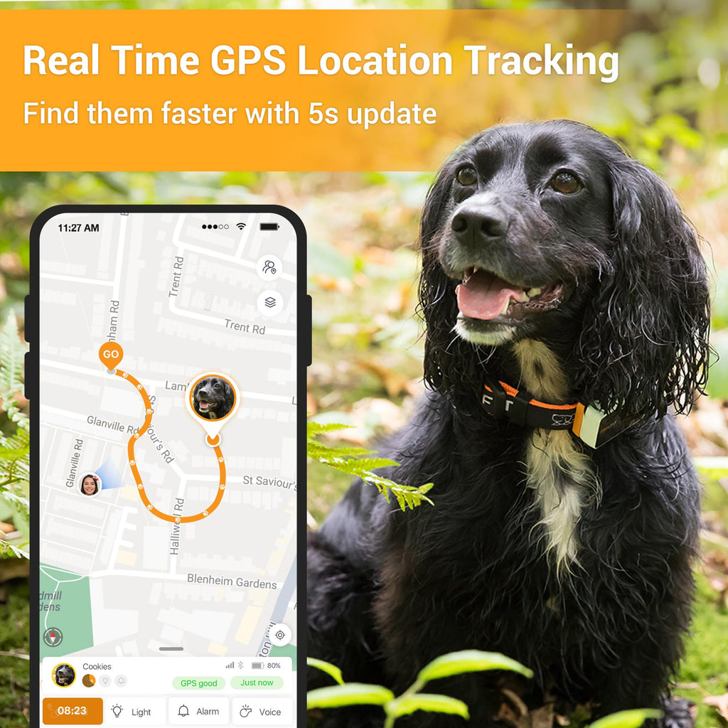 4G GPS Dog Tracker