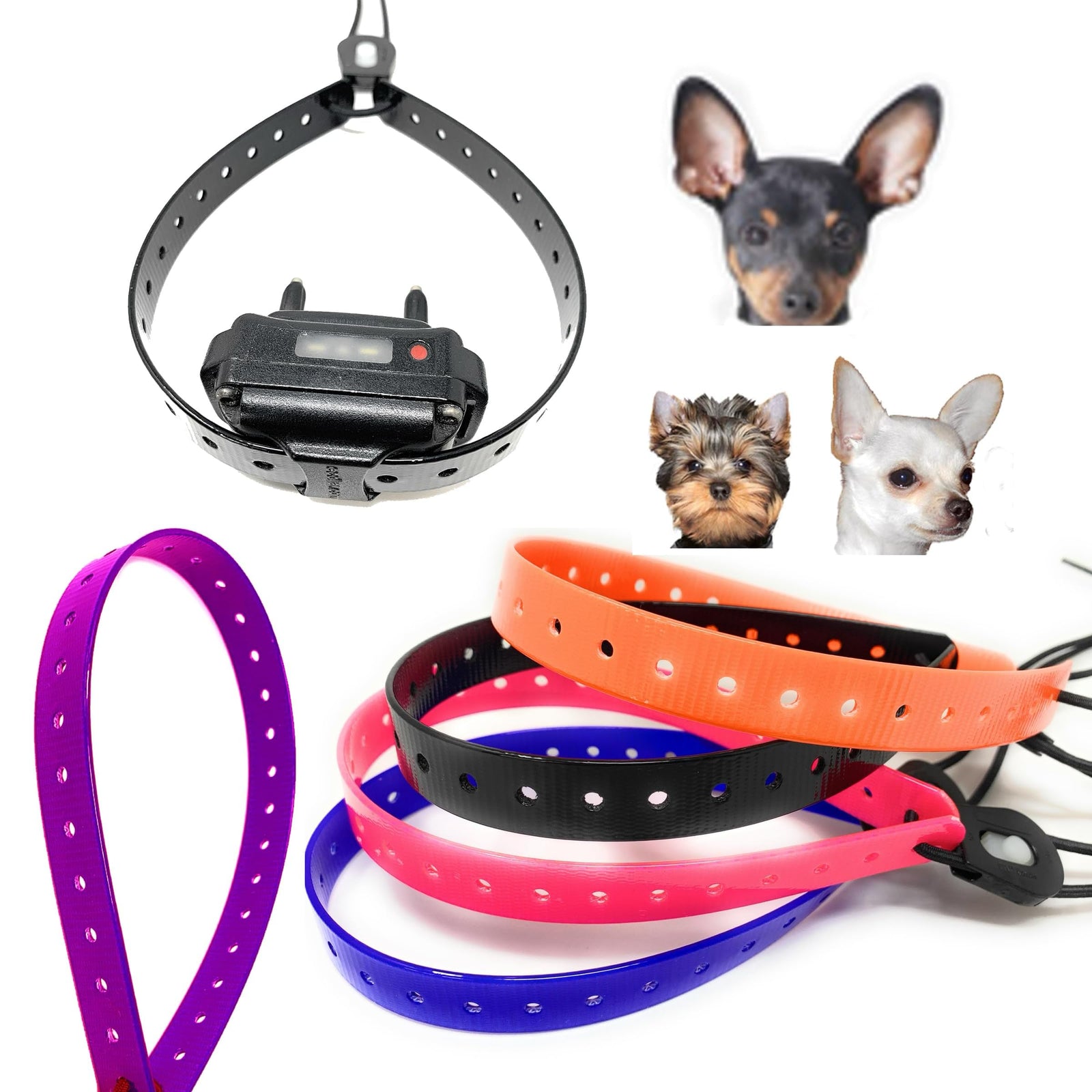 Small Dog Surefit