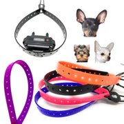 Small Dog Surefit